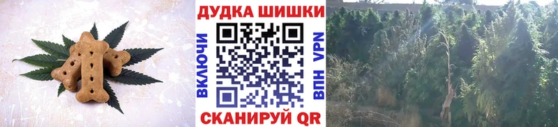 нарко площадка официальный сайт  Пласт  Cannafood конопля 
