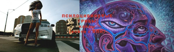 каннабис Гусев