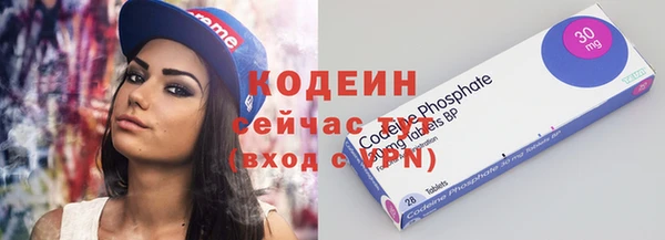 шишки Гусь-Хрустальный