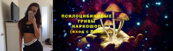 шишки Гусь-Хрустальный