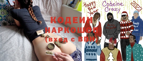 шишки Гусь-Хрустальный