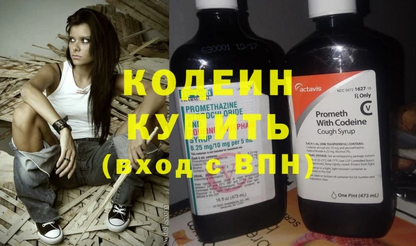 шишки Гусь-Хрустальный