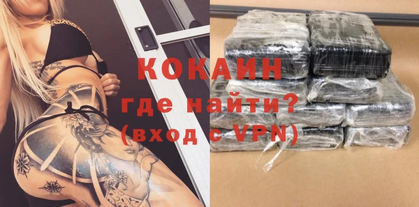 шишки Гусь-Хрустальный