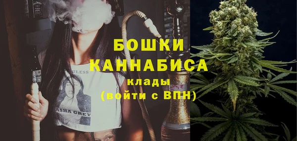 шишки Гусь-Хрустальный