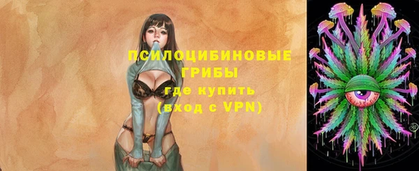 шишки Гусь-Хрустальный