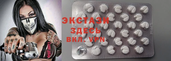 шишки Гусь-Хрустальный