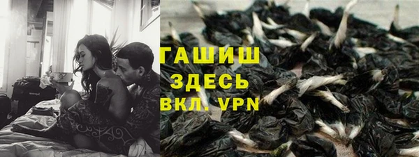 шишки Гусь-Хрустальный