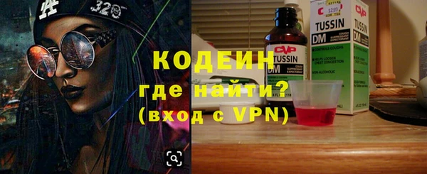 шишки Гусь-Хрустальный