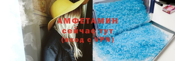 шишки Гусь-Хрустальный